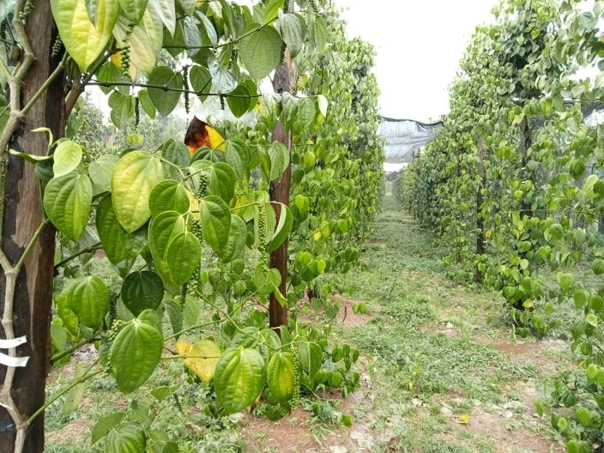Ratanakiri Farmhouse & Trekking Banlung Buitenkant foto