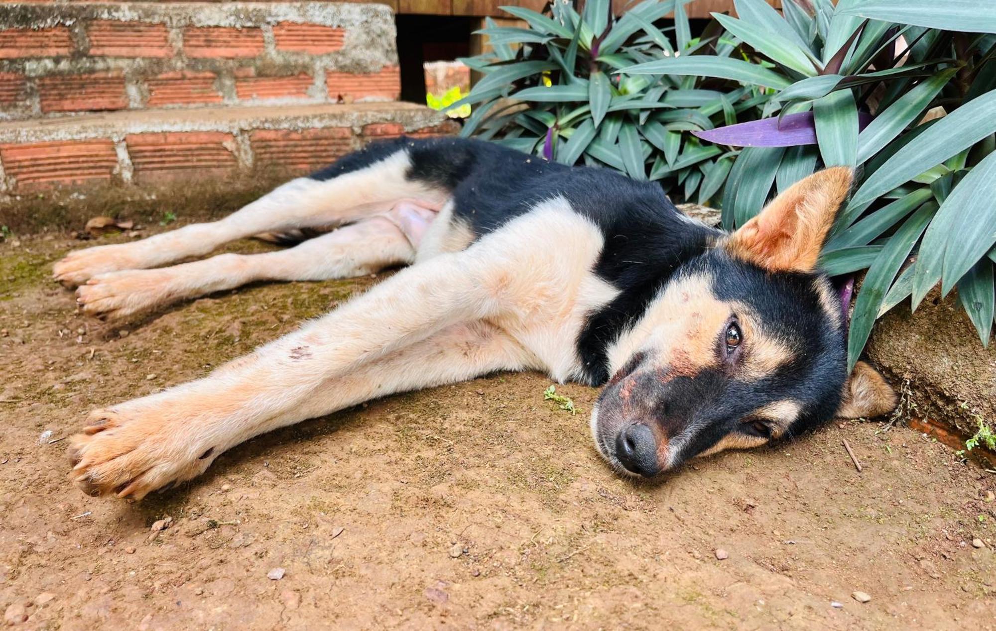 Ratanakiri Farmhouse & Trekking Banlung Buitenkant foto
