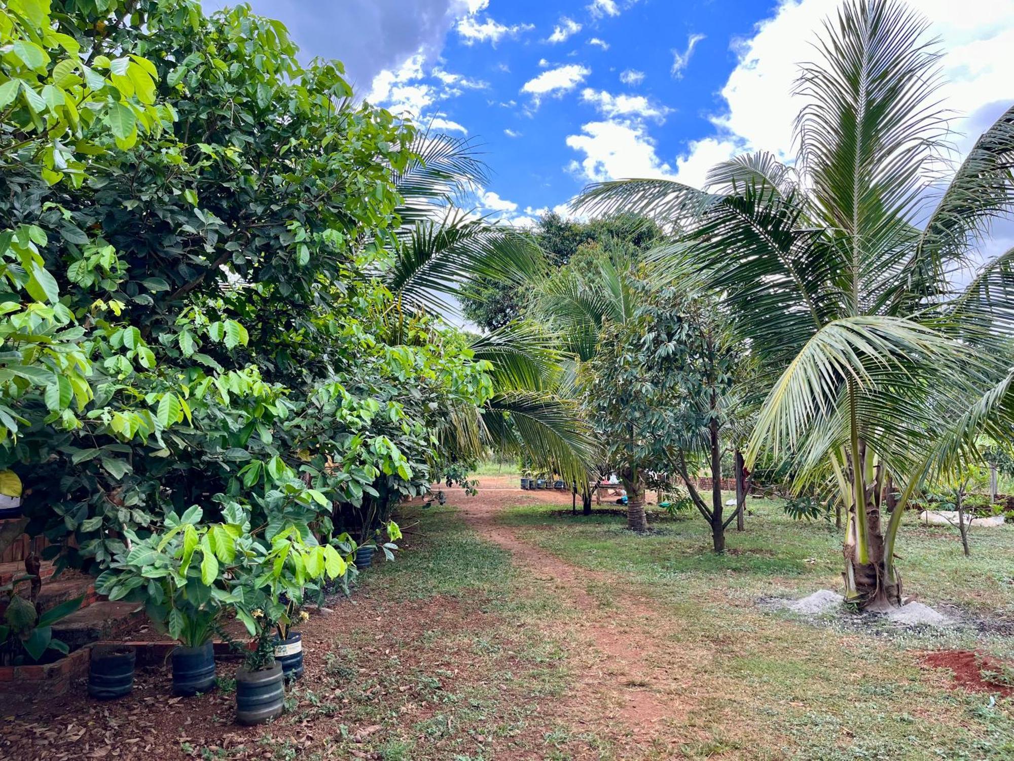 Ratanakiri Farmhouse & Trekking Banlung Buitenkant foto