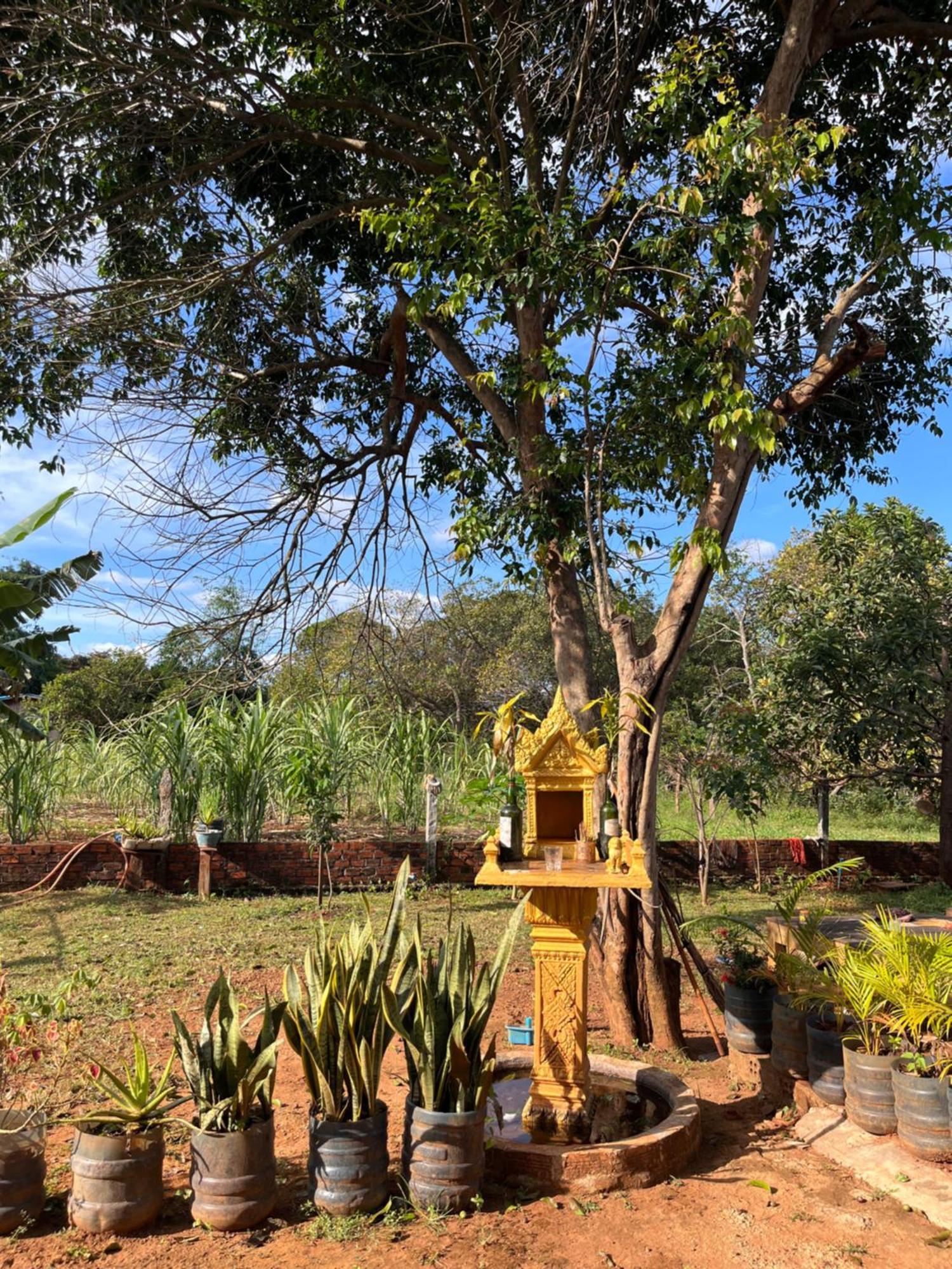 Ratanakiri Farmhouse & Trekking Banlung Buitenkant foto