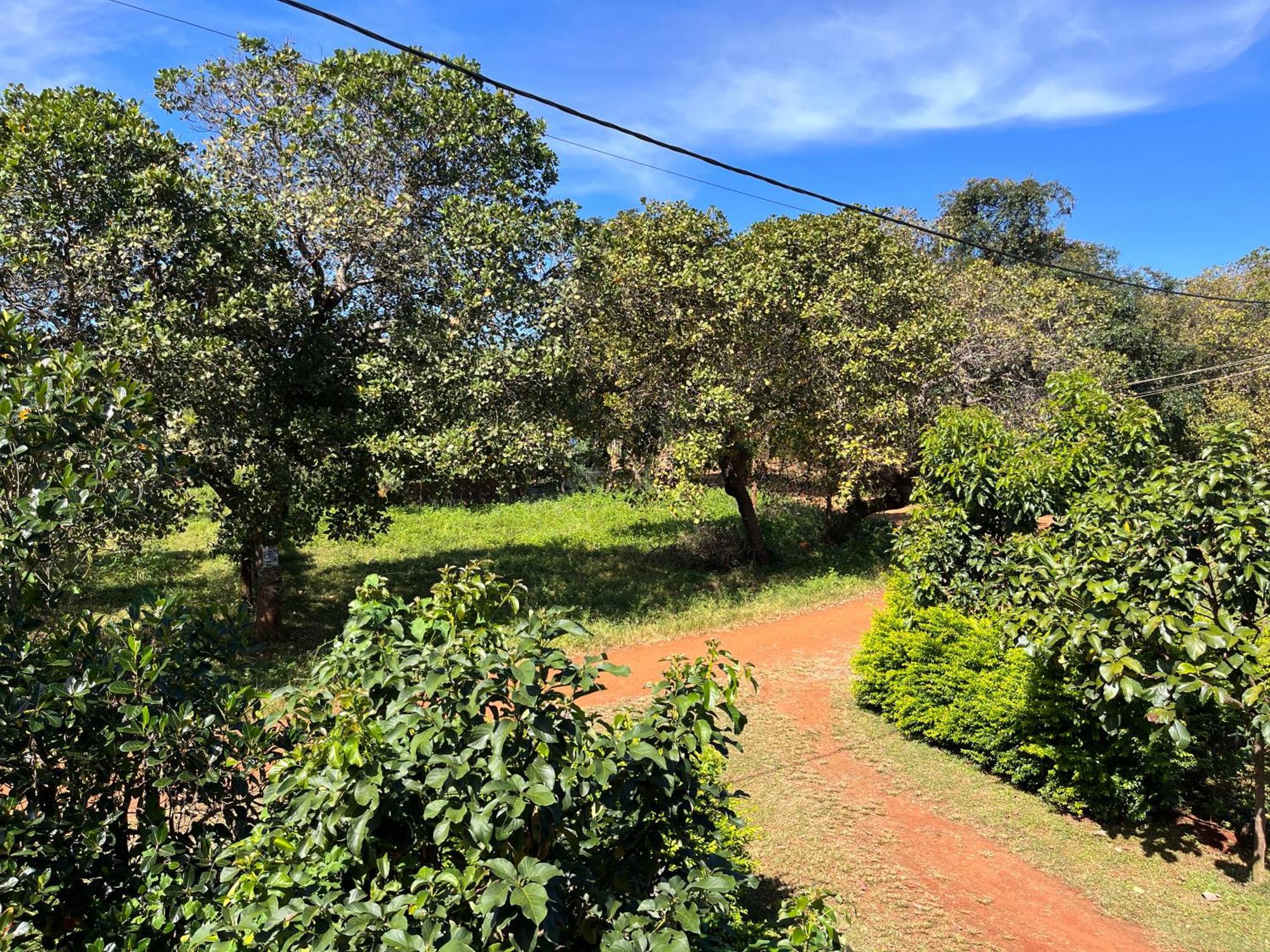 Ratanakiri Farmhouse & Trekking Banlung Buitenkant foto